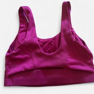All in Motion Magenta Sports Bra
